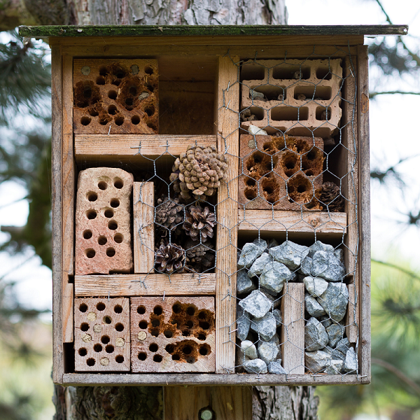 Insectenhotel minder mb Insectenhotel minder mb